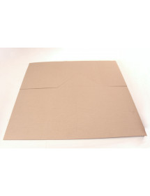 45T CARTON EXPEDITION